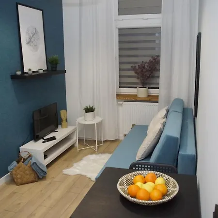 Apartmán Narutowicza *