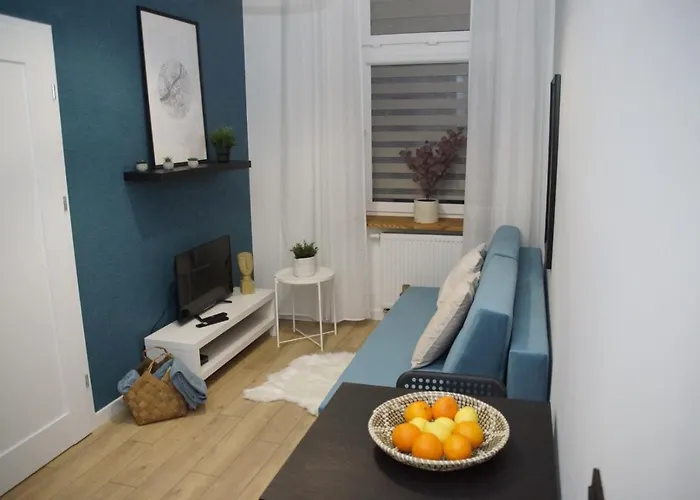 Apartmán Narutowicza *